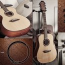 [심화] 통기타 이미지