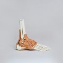 바른오늘의원 이미지