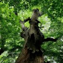 천년 행정사 이미지