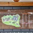 [경기 용인] &#39;용인대장금파크&#39; 일주일만에 재방문함ㅋㅋ