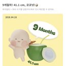 31140-9-32-3 | 임신 기록 #13 :: 31주 ~ 32주 임신기록ㅣ육아휴직...레깅스ㅣ여수 여행ㅣ울산HD 축구 직관ㅣ경주 여행...