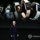 (주)애플웨어 이미지