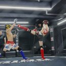 스테이 80 B 이미지