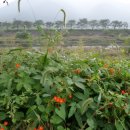 계절여행 이미지