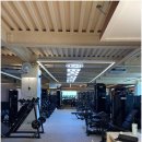 브로피트니스 이미지