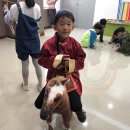 압해동초등학교 이미지