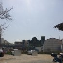 김해활천초등학교 | 김해아구찜 잘하는곳은 “늘원아구찜”