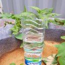 태수농장2 이미지