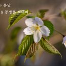 꽃피는봄날 - 유성구 수통골로 49 | 꽃피는봄날