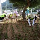 지슬1리 이미지