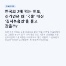 새로움로켓 | 한국의 2배 먹는 인도, 신라면은 왜 '국물' 대신 '김치볶음면'을 들고 갔을까?