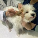 동해시-27 이미지