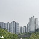 세종 이미지