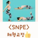 SNPE 바른자세 척추운동&목·어깨 통증테라피 | SNPE 운동 하체 원데이 벨트 웨이브베개 다나손 효과