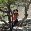 알프스산장 이미지