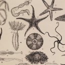 건담한의원 이미지