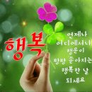 책이 주는 영혼의 메시지 이미지