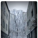 판교도서관 이미지