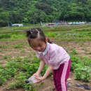 금대리 경로당 이미지