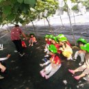 자이사랑어린이집 이미지