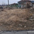 대지부동산중개인사무소 이미지