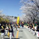 청풍호 벚꽃축제 (2010.04.08 ~ 2010.04.18) 이미지