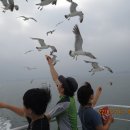 3월 정기여행 "대이작도" 부아산 & 바닷가 해안길 트레킹 이미지