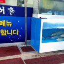 송어촌
