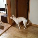 박순복동물병원 이미지