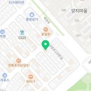 해피애견타운 강아지고양이 분당판교점 이미지