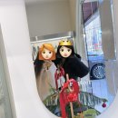 꼼뚜아 | [양재] 양재소품샵투어 꼼뚜아그로서리 직접보고 살 수 있지롱