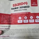 우리집 강아지 | 강아지연어사료 밸런도그 우리 집 강아지 급여 후기