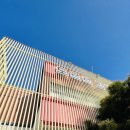 김밥동네 | 도르르김밥 포장 후기, 참치김밥과 컵라면 조합 좋은 동네 김밥 맛집