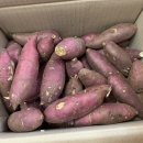 선우농산 | 고구마추천] 영암고구마 호밤고구마/ 호박과 밤이 반반 섞여서 촉촉해요☺️ (+에어프라이어에 굽기)