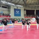 호암태권도체육관 이미지