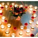 까치와 산토리나 이미지