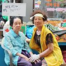 야채노점 오마이뉴스
