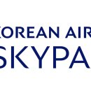 스카이통상