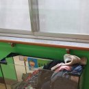 이리영등초등학교 이미지