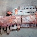 화석농장 이미지