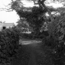 일과2리 이미지