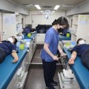 대한적십자사 부산혈액원 이미지