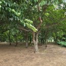 서해안카센타 이미지