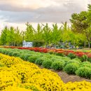 공연 전시장길 코스 이미지