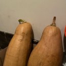 섬강농원 이미지