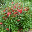 월항면복지회관 이미지