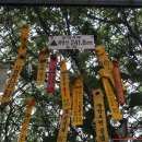 송원고등학교 이미지