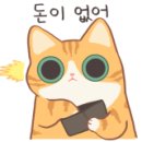 강남펫스타일 이미지