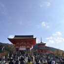단풍미인 | 교토 기요미즈데라 가을 단풍구경 후기, 간식 추천