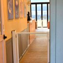 김포도그 | 바닥 구멍 없는 무타공 대형견 안전문! 김포 애견카페 "도그파트너24" 시공 후기(feat. 김포 도그파트너24)